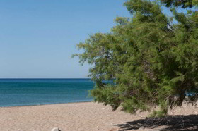 Aphrodite Samos Suites