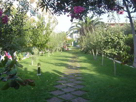 Paradise