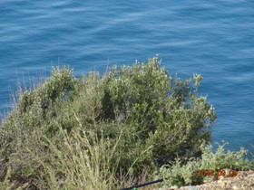 Samothraki Beach Apartments & Suites Hotel