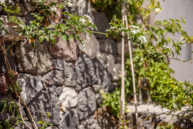 Rock Villas