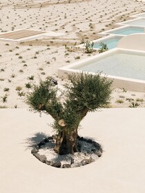 Elysian Retreat