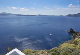 Helianthus Suites