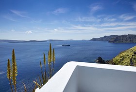 Helianthus Suites