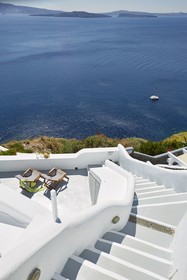 Helianthus Suites