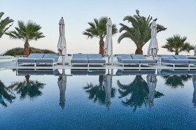 Petri Suites