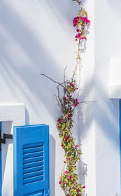 Kadia Traditional Residencies