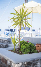 Kadia Traditional Residencies