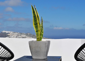 Nerti Suites