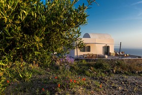 Villa Vinea