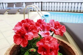 Amerisa Suites