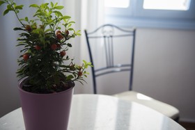 Kastro Suites