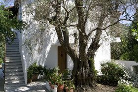 Alexandra Villas