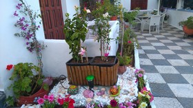 Amalthia Studios
