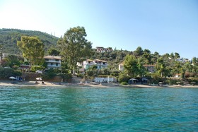 Azalea Studios