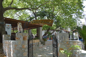 Zachos