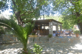 Zachos