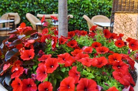 Armata Boutique Hotel