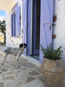 The Good Life Greece