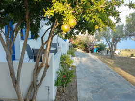 Litus Studios Syros