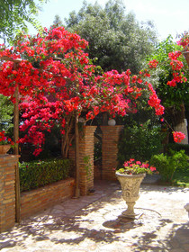 Hotel Castella Beach