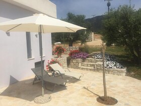 The Olive Grove