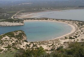 The Olive Grove