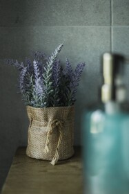 Acropolis Mystra Guesthouse