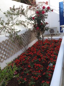 Matas Apartments