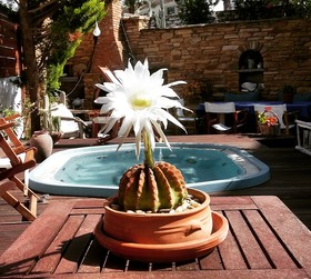 Vincenzo Family Rooms