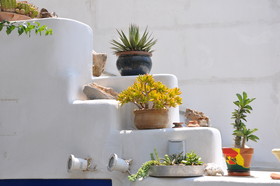 Vincenzo Family Rooms