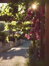 Lesante Cape – The Leading Hotels of the World