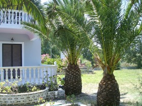 Babis Studios