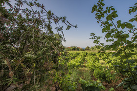 Porto Giardino Resort