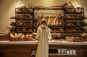 Domes Aulus Zante, Autograph Collection