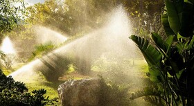 Domes Aulus Zante, Autograph Collection