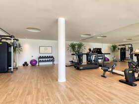 Domes Aulus Zante, Autograph Collection