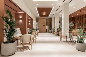 Domes Aulus Zante, Autograph Collection