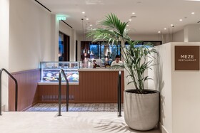 Domes Aulus Zante, Autograph Collection