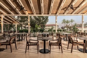 Domes Aulus Zante, Autograph Collection