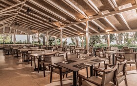 Domes Aulus Zante, Autograph Collection