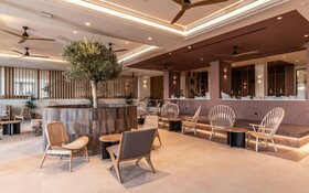 Domes Aulus Zante, Autograph Collection