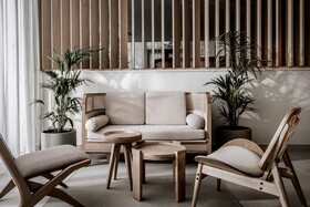 Domes Aulus Zante, Autograph Collection