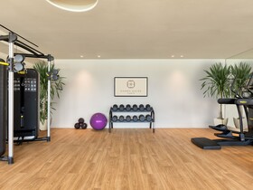 Domes Aulus Zante, Autograph Collection