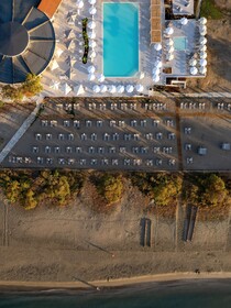 Domes Aulus Zante, Autograph Collection