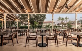 Domes Aulus Zante, Autograph Collection