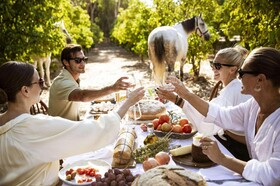 Domes Aulus Zante, Autograph Collection