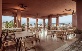 Domes Aulus Zante, Autograph Collection