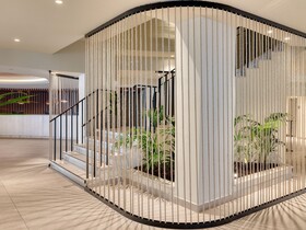 Domes Aulus Zante, Autograph Collection