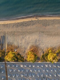 Domes Aulus Zante, Autograph Collection