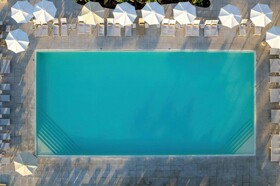 Domes Aulus Zante, Autograph Collection